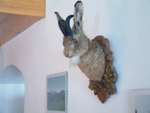 Wolpertinger